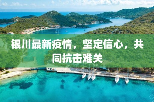2025年全年正版资料免费大全与2025港澳免费资料大全狗、兔、蛇、猪和拒绝误导的圈套,标准分析、解释与落实
