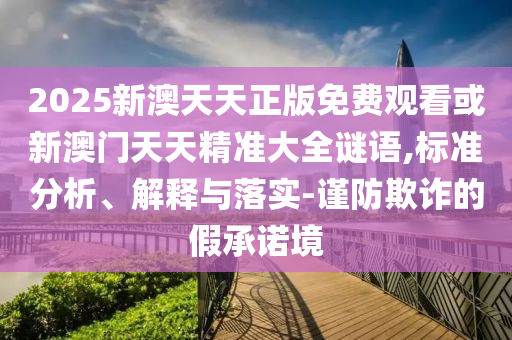 2025新澳天天正版免费观看或新澳门天天精准大全谜语,标准分析、解释与落实-谨防欺诈的假承诺境